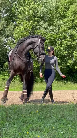 Вы только посмотрите, что они вытворяют!)) Вейрон и Санечка в ритме танца 🖤. #horse #фризскийжеребец #фриз #рек #хочуврек #fyp #fypシ #конныйклуб #a