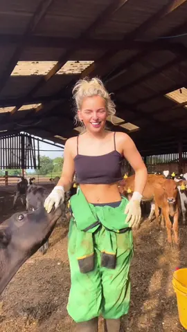Can never get away 😂#claves #femalefarmers #farming #CruelSummerConfessions #MyIdoles #cheshire #argi #johndeere #agriculture #farminglife