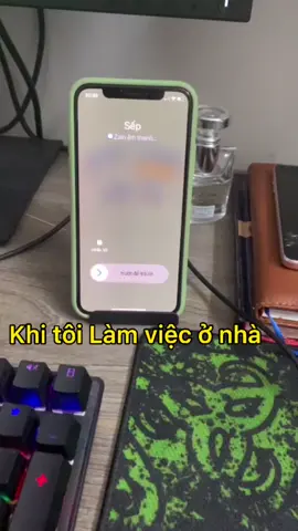 Đừng ai WFH kiểu này như mình nhé #satthuvideongan #camsanh