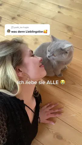 Antwort auf @yudit_isa besonders katzen haha.  i just want to touch animals all day 🥺💕