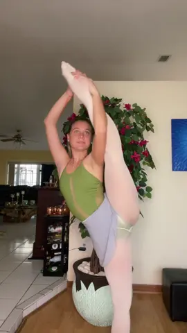 Thank u @discountdance #ddsambassador #sheingals #EatFreshRefresh #foryou #parati #xyzbca #ballet