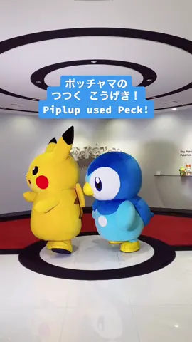 ポッチャマの つつく こうげき！ Piplup used Peck! #ポケモン #pokémon #pokemon #ポッチャマ #piplup