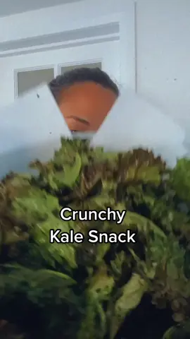 Crunchy Kale - A Delicious and healthy snack 😋🌱 #snack #healthy #healthysnacks #healthysnack #vegansnacks #vegansnack #veganfood #vegan