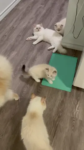 Dinner time!!