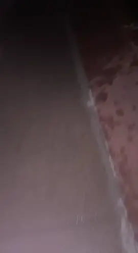 pov u see a whale while swimming