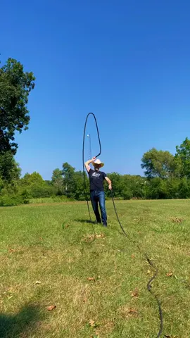 Cracking two 22 foot Florida Cow Whips.  For one year I did a routine with these whips in my show. #floridacowwhip #florida