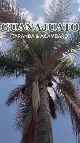 El pueblo de mis padres 🌴🤍#tarandacuao #taranda #acambaro #acambarogto #acambarogtomx #pueblosmexico #guanajuatocheck #vidadepueblo
