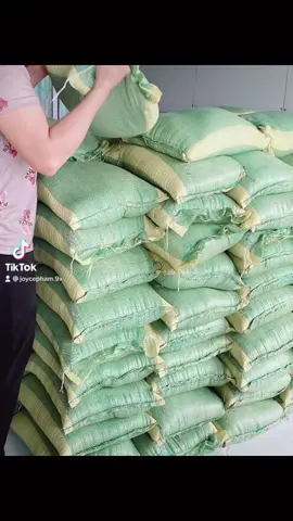 3 tấn gạo e gui cho bà con o xóm nhà Ba Má E,,mai 2 tấn gạo e gưi bà con o xóm nhà riêng của 2 vk ck,,🥰🥰