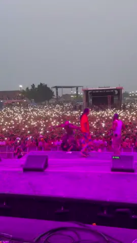 BACK LIKE WE NEVER LEFT… #fyp #liveperformance #concert #festival #flatbushzombies #palmtrees
