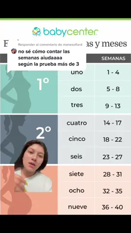 Responder a @manesofiard #greenscreen por si tenían dudas hermosas 😍 #semanasdeembarazo