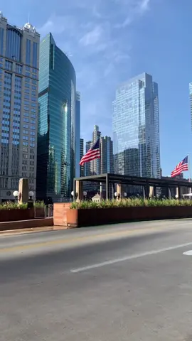 Chicago mornings ☁️ #ChewyChattyPets #MicroRaveWithRoni #pov #swifttok