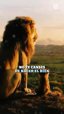No te canses de hacer el bien! #parati #fypシ #fraseslindas #frases