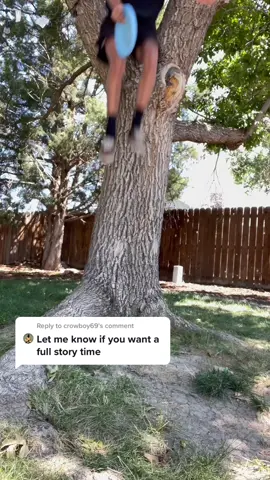 Reply to @crowboy69 DUI Story Time #dui #drunk #drunkdriving #drunkdrivingvictims #accident #crash #truck #tacoma #toyota #storytime #crowboy #fypシ #f