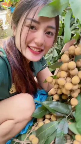 ลำไยถูกจัง #ลําไย #ชีวิตบ้านๆ #มีความสุขกับสิ่งที่รัก #ชีวิตติดดินคนบ้านบ้าน🙋‍♂🌿