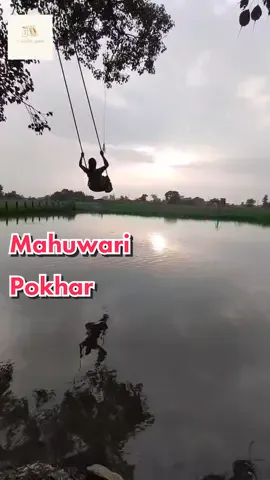 Mahuwari Pokhari 💞 Manigram DM us on ig#travellerfoodienp For location #MahuwariPokhari #travelbutwal #traveller #naturelover #butwal #butwalian