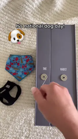 BEST GIFT FOR A PET LOVER 🐶🐶🐶 #nationaldogday #amazonfinds #ChewyChattyPets