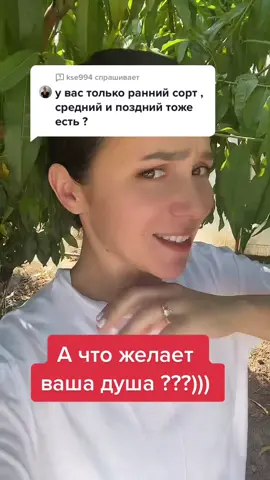 Ответ для @kse994