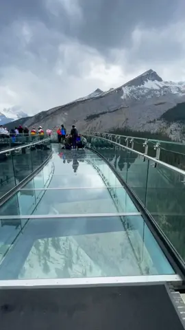 📍Columbia Icefield Skywalk                 #travel #canada🇨🇦 #alberta #banff #fypシ