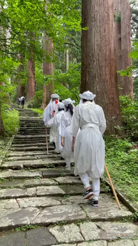 Yamabushi experiences on the sacred Dewa Sanzan Mountains #yamabushi #山形県 #tohoku #japan #spirituality #japantiktok #japanlife #japantravel