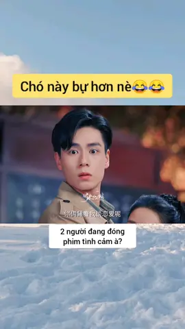 😂 #xuhuong #danquockytham #honhatthien #truongvanlong #phimhay #phimhaymoingay