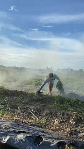 Cut version #farm #fyp #xuhuong #peace #netdeplaodong