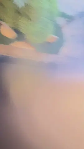 💪💪💪 #fypシ
