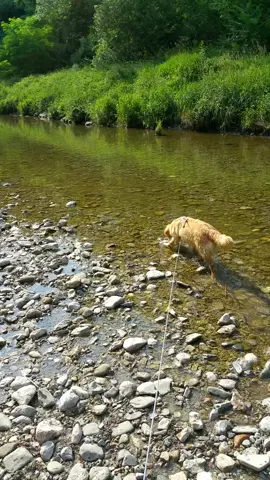 Meine kleine Wasserratte 😉