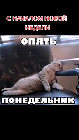 #понедельникденьтяжелый #жизньпрекрасна #ПеременысGarnier