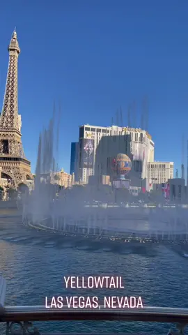 Bellagio hotel #cameraroll #lasvegas #yellowtaill #bellagio #foodtiktok #style #dinnerwithme #vegas #prettylittlething #fashion #views #fyp #restaurant