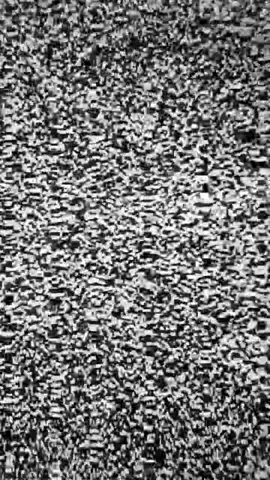 There's nothing on TV #waitforit #static #TV #crt #whitenoise #nothingontv #birds #foryou #foryourpage #fypシ #viral #virus