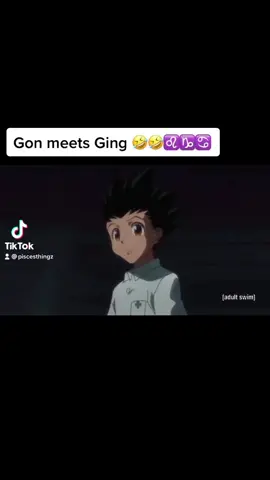 The signs as Ging and Gon 🤣♉️♓️♋️ #fypシ゚viral#gingfreecs#fypシ#hunterxhunter#gonfreecs#killua#anime#hisoka#animeedit#animetiktok#avatarkorra