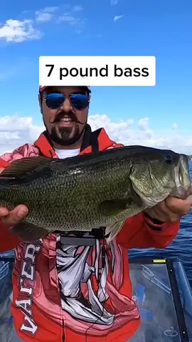easy 7 pounds