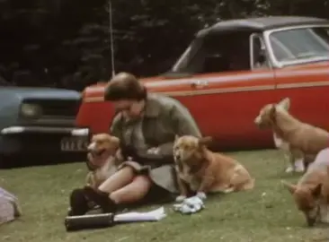 How many corgis is enough corgis for the Queen? 🐶👑 #TheQueen #QueenElizabeth #Corgi #Corgis #RoyalFamily #BritishMonarchy #HM #HRH #RoyalTok #fyp