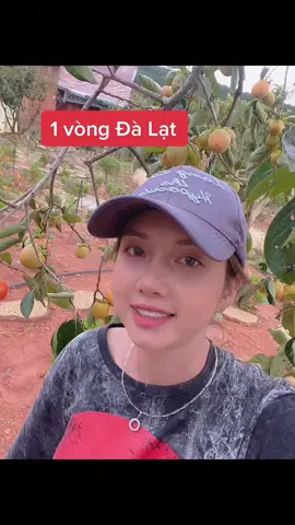 Có ai đang buồn vì bị giãn cách ko ? Em sẽ dắt mọi người đi chơi 1 vòng với em cho thoải mái nhé 😉#cuocsongdalat #chibi #onhavanvui #dalat