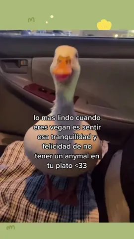 es la más lindo <33