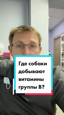 Ответ пользователю @bengal_lovemarin от врача врачу 😂