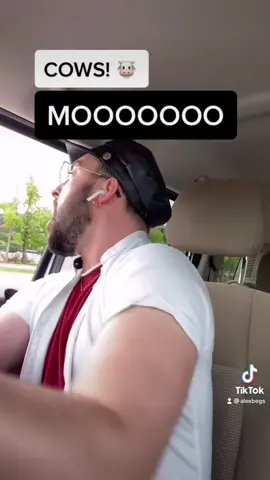 Anyone else drive like this? 😂 #midwest #cows #ZFlipClackdown #foryou #fypシ