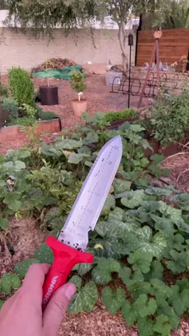 Hori-hour knives are super useful garden tools #LearnOnTikTok #tiktokpartner