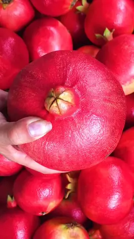 GIANT POMEGRANATE❤️ #fypシ #LearnOnTikTok