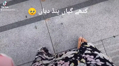 #foryou #foryourpage #beautifulsong #ibrarulhaqsong #fypシ゚viral