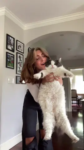 🤍🤍🤍😽😽