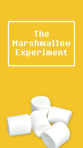 could you pass the marshmellow test?