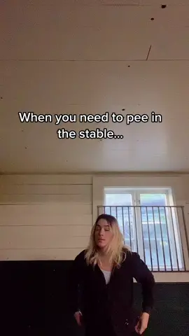 Damn you, Jake. #fypシ #fyp #stable #horse #arabianhorse #positivereinforcement