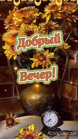 ###Хорошего вечера! ###Незабудни
