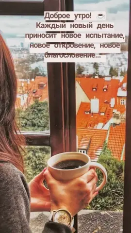 С добрым осенним утром 🍁❤️🥰а за окном идёт дождь и время…🍁🌧