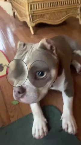 Rainy days #suzi #blind #glasses #getoverherechallenge #babyboy