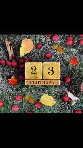23 сентября День равноденствия!  Петра и Павла! Рябинников день!🙏🏼❤🍁🍂🍁