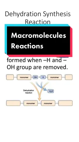 Dehydration synthesis vs hydrolysis reaction #biochemistry #biology #apbiology #chemistry