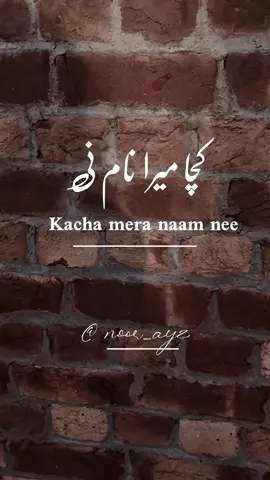Kachi meri mitti #foryou #noor__ayz #fyp #foryoupage #viralvideo #trending #fypシ #YourBestShot #burhan_tv #crew07 #standwithkashmir