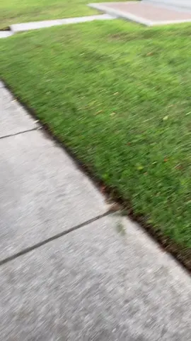 Lol
